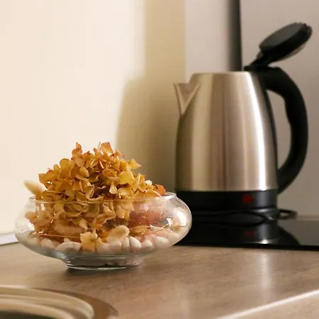 Ana Apartman Skradin