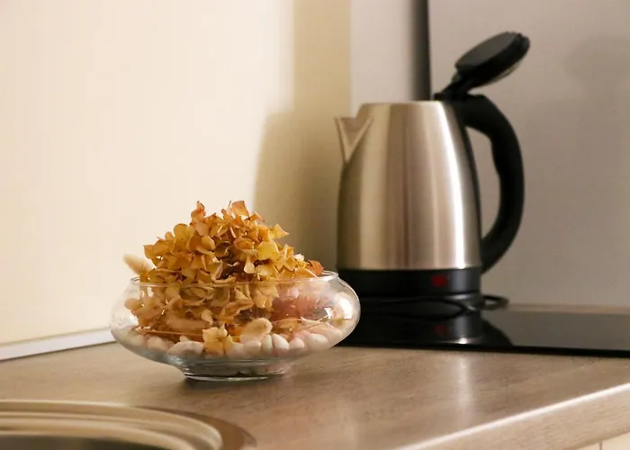 Ana Apartament Skradin